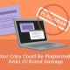 Your Copy Could Be Plagiarized - Risks Of Brand Damage
