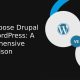 Why Choose Drupal Over WordPress