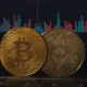 What Is the Best Cryptocurrency to Invest in Right Now