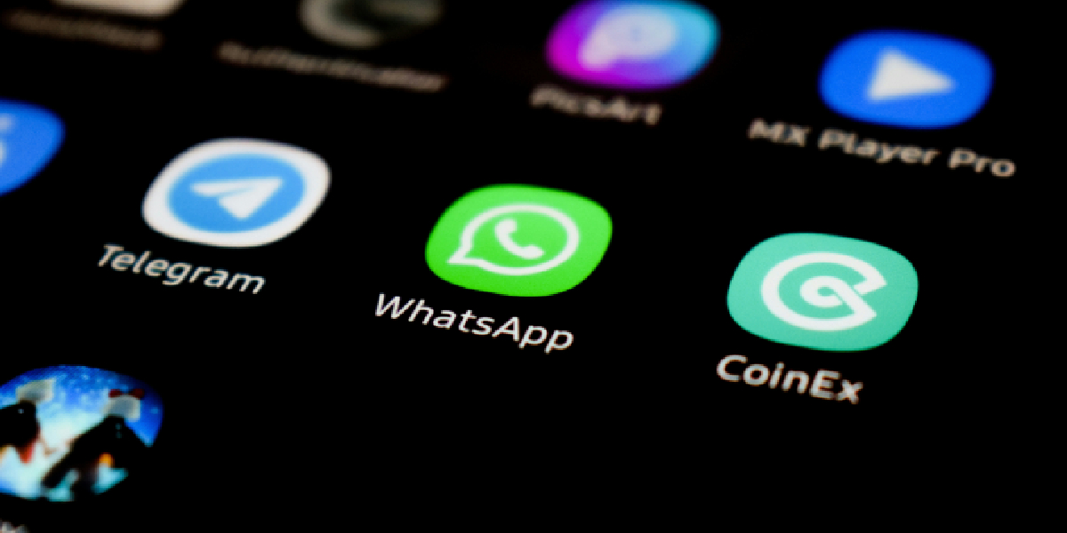 whatsapp images not showing in gallery