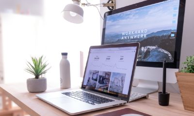 Zingyzon Digital Marketing