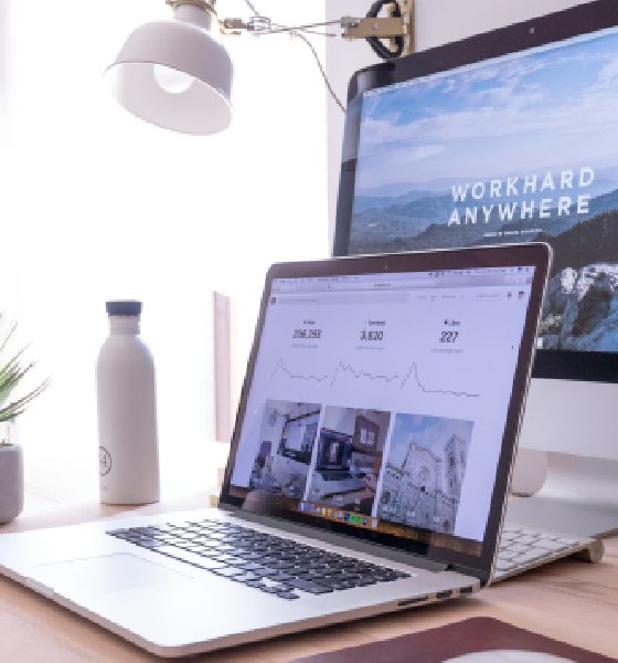 Zingyzon Digital Marketing