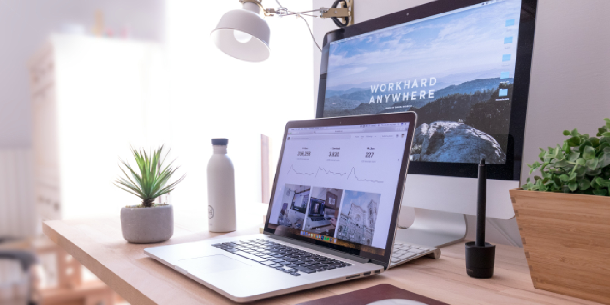 Zingyzon Digital Marketing